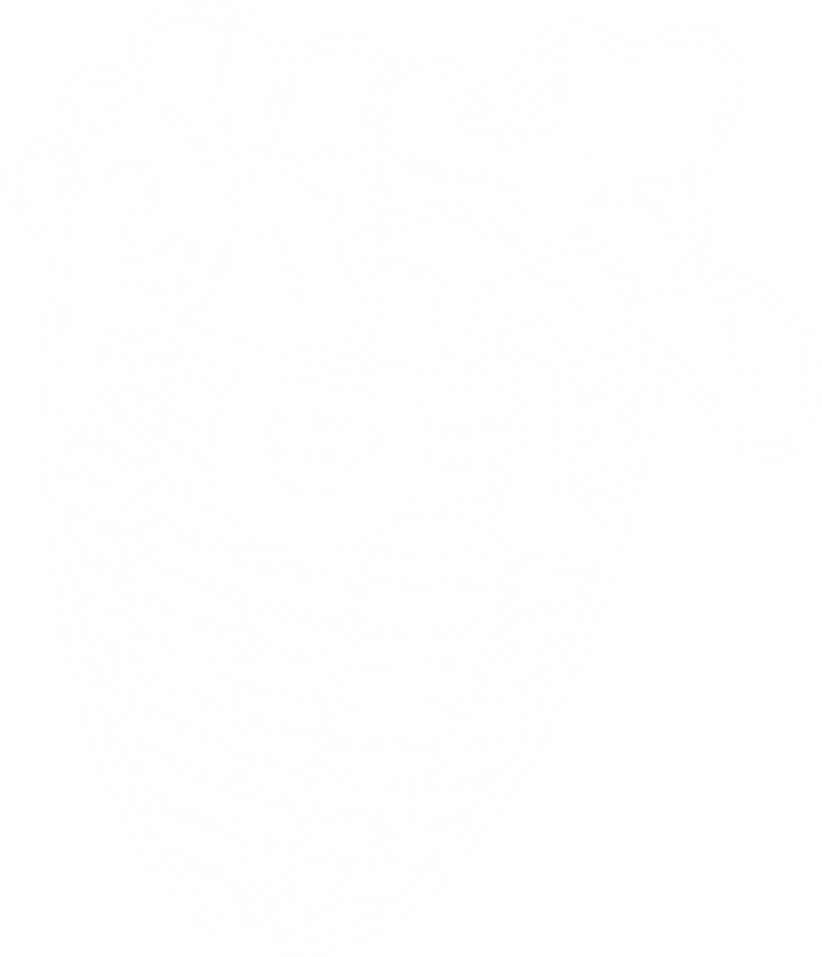 A completely full laundry basket bursting with clothes